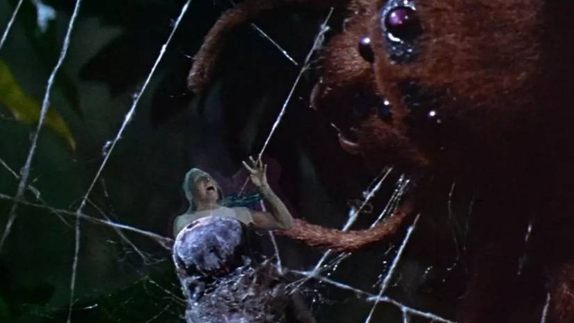 A fly-sized man is trapped in a spider's web in 1958's The Fly 