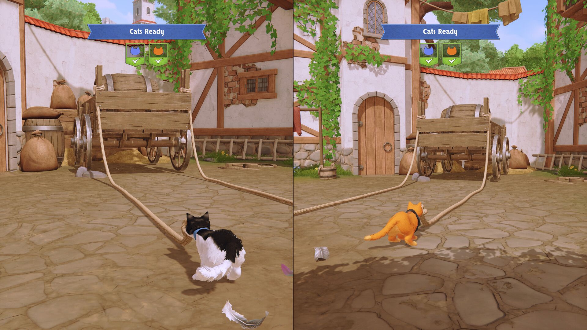 the-missing-tail-splitscreen-rope