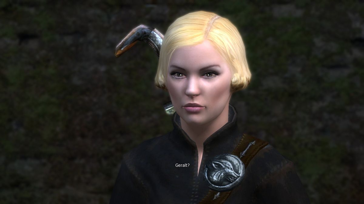 the witcher 1 press 2