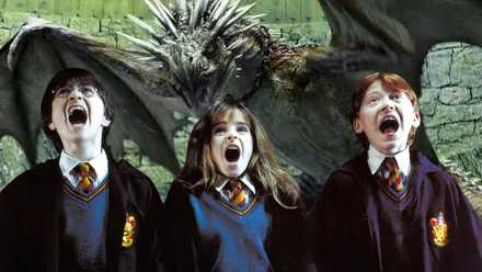 A combined image of Harry, Hermione, and Ron screaming with a Hungarian Horntail dragon in Harry Potter