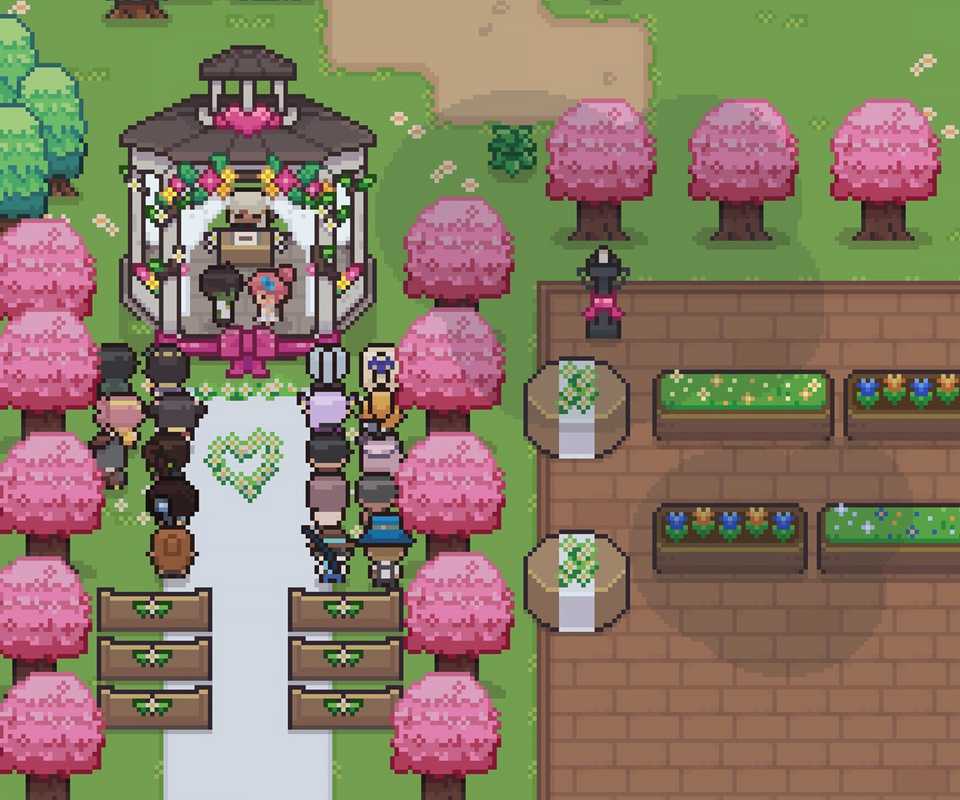 Wedding ceremony in Research Story