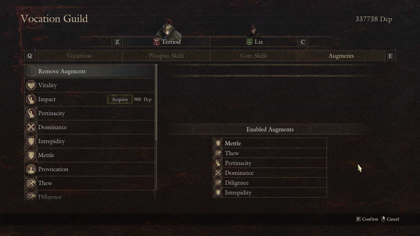 Best Warrior Gear, Skills, and Augments in DD2: Dark Arisen