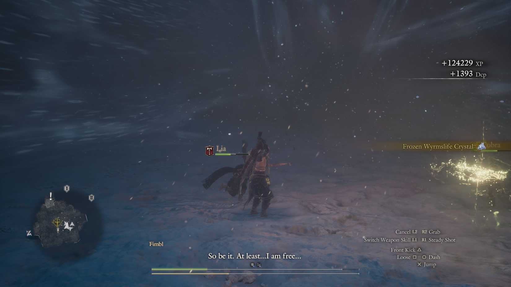 DD2 DA Frozen Wyrmslife Crystal