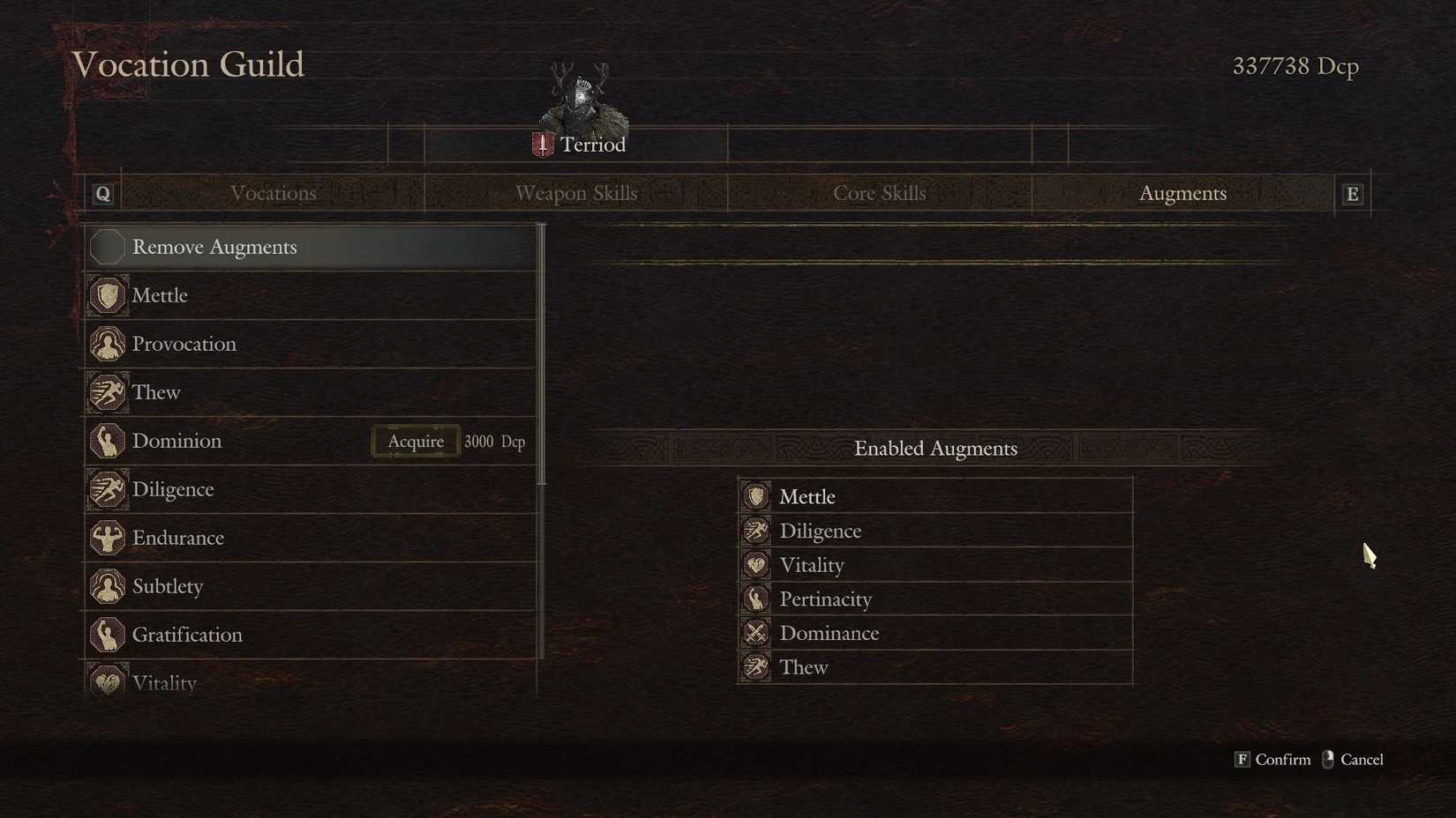 Best Fighter Build in Dragon's Dogma 2: Dark Arisen (Equipment & Skill ...