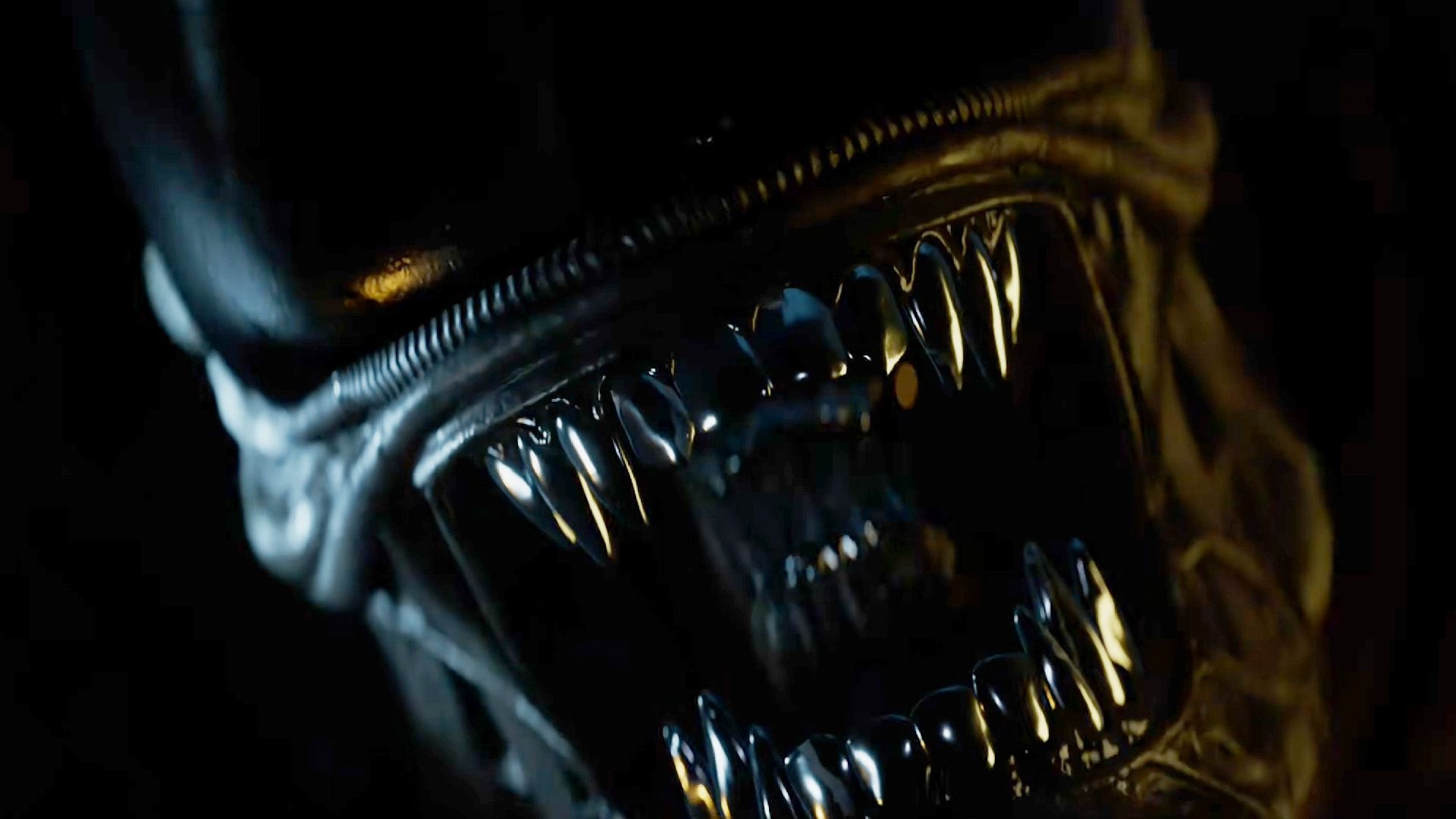 Alien Isolation 2 Physical Release Confirmed by Sega [Confirmed]