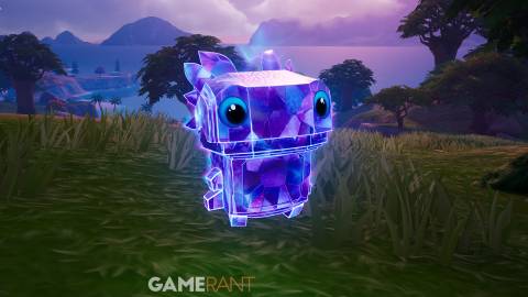 All Quack Sprites in Fortnite Override (How to Get & Effect)