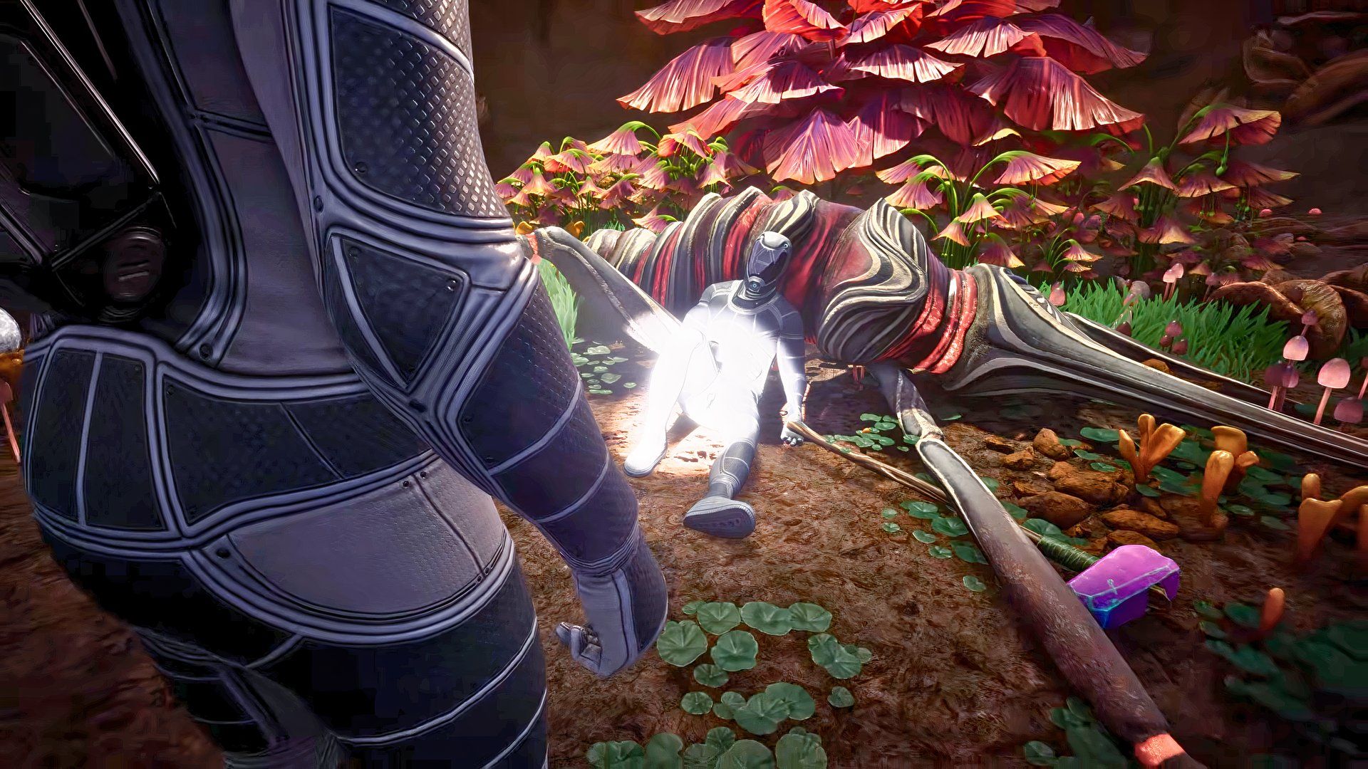 New Open-World Co-Op Survival Game Officially Confirmed for December 2026