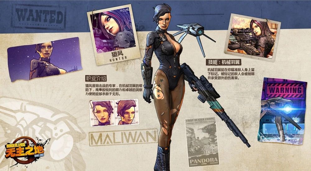 borderlands online hunter
