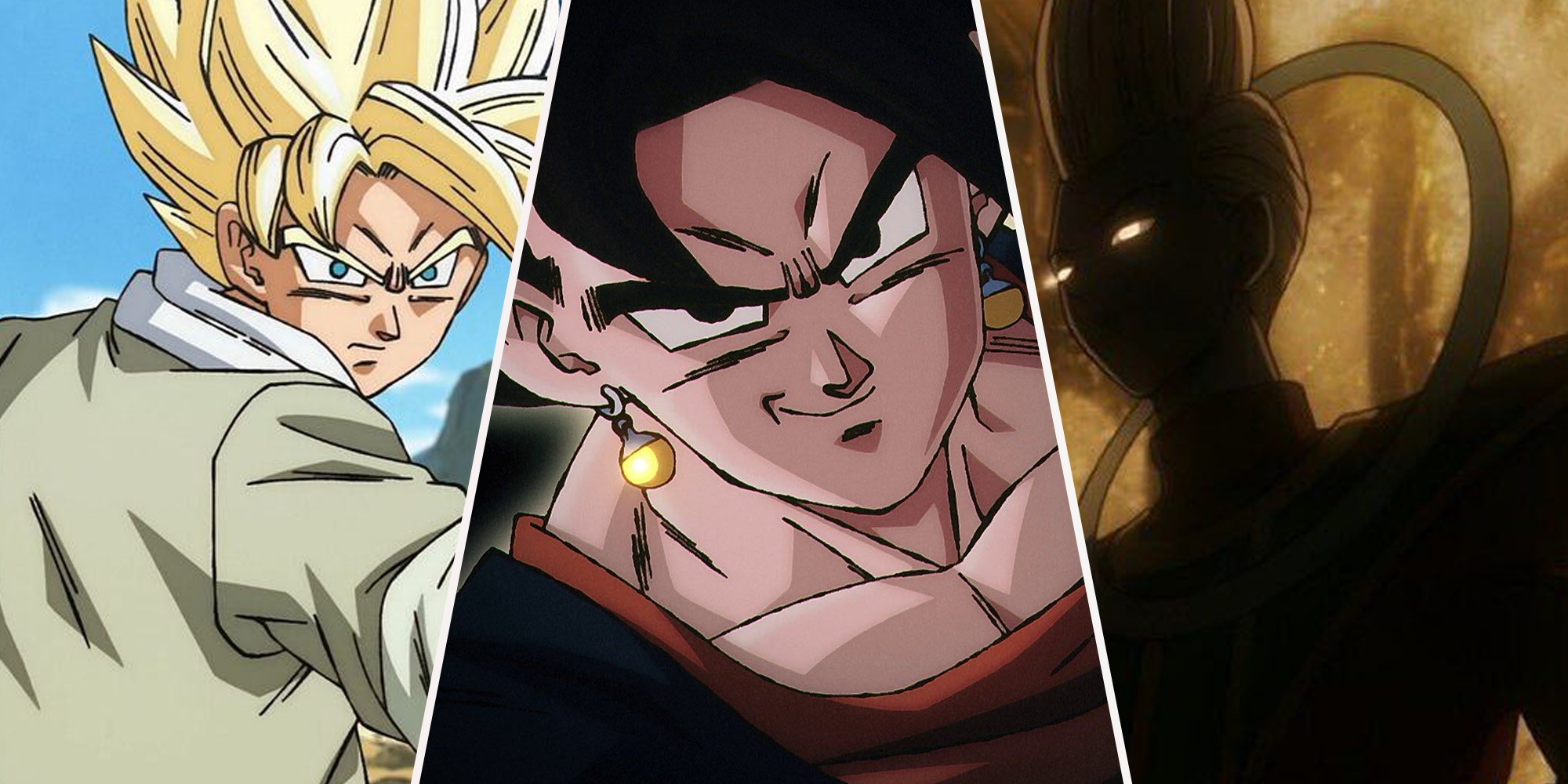 Goku, Vegito, and Whis