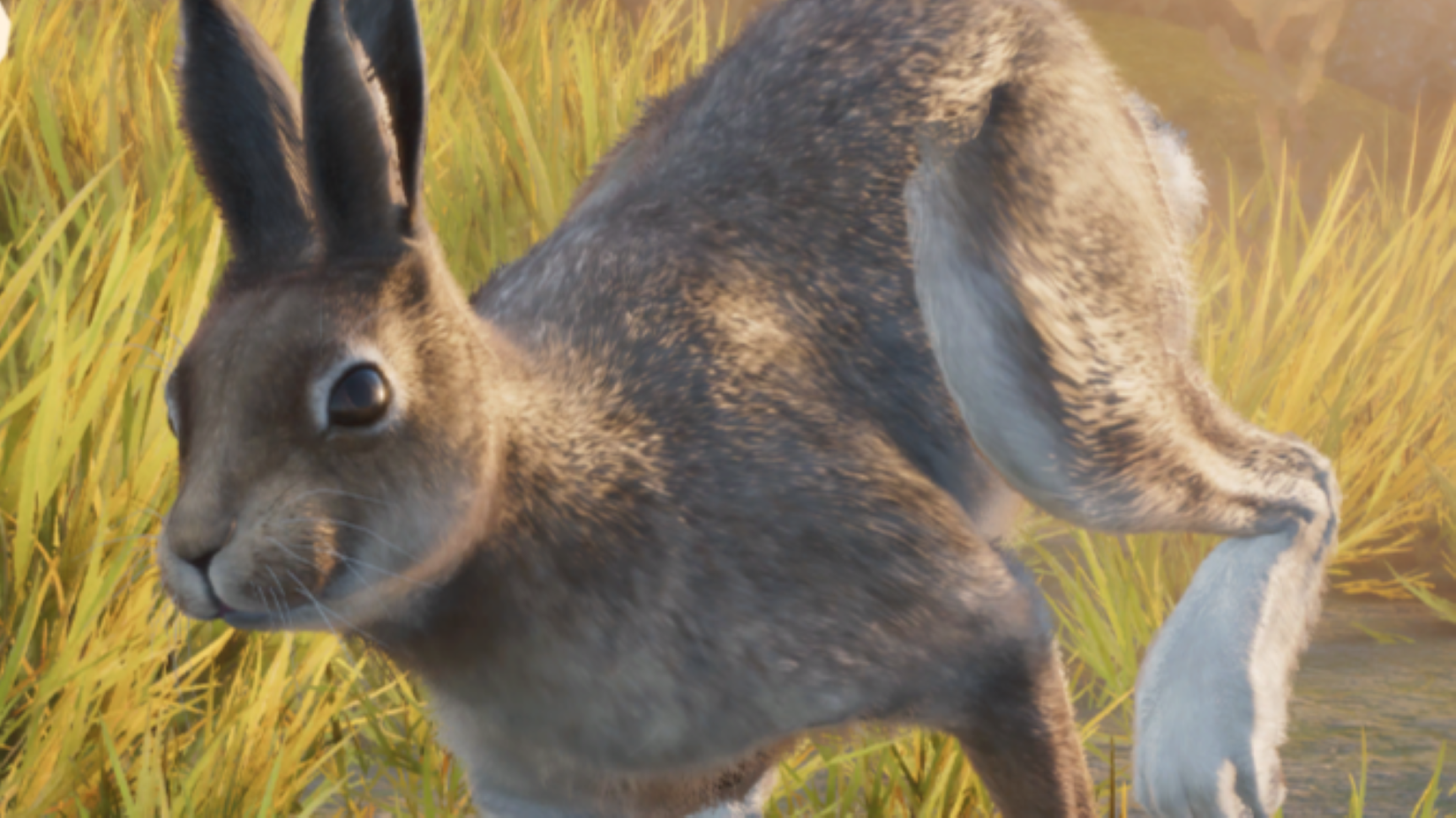 All Animals in Planet Zoo 2