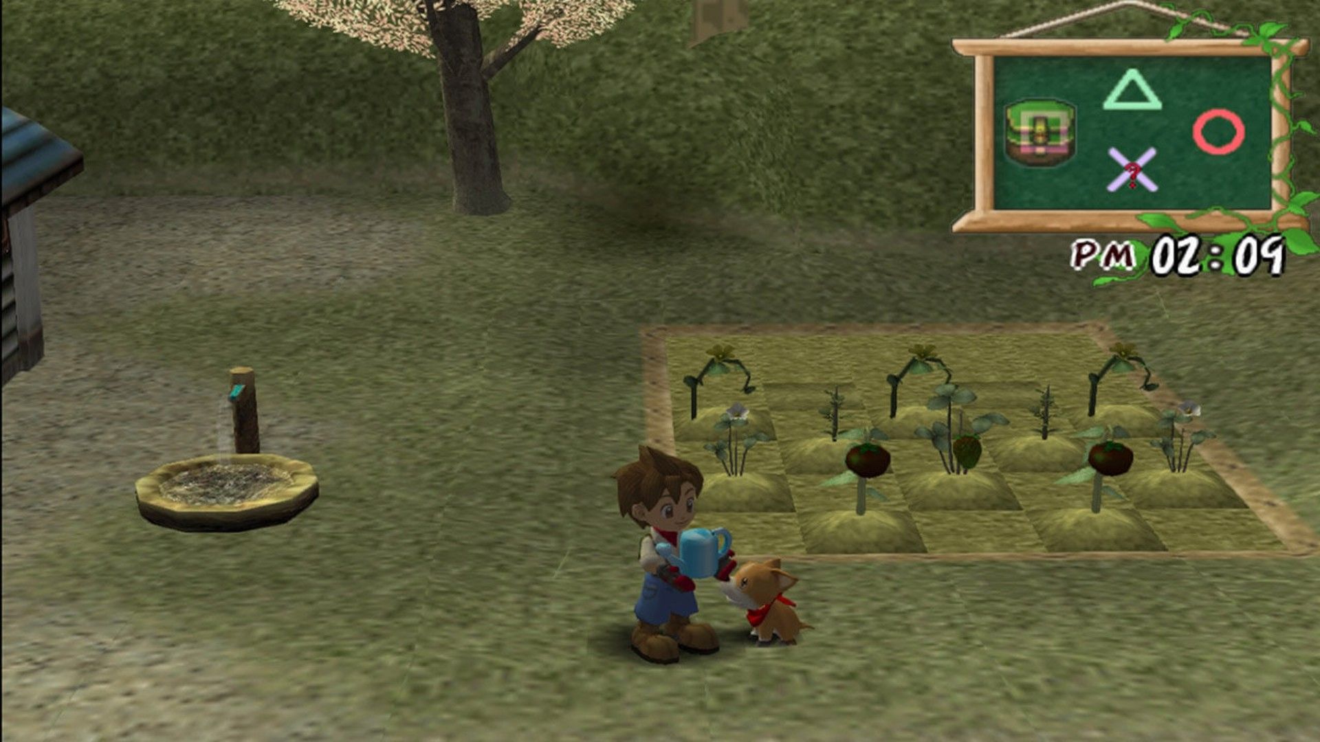 Near-Perfect Cozy Games That Rival Pokemon Pokopia, Ranked