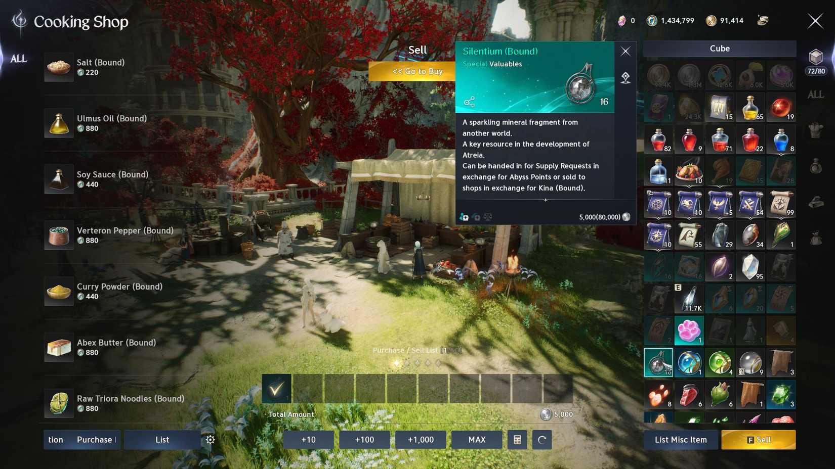 how to use silentium aion 2 (2)