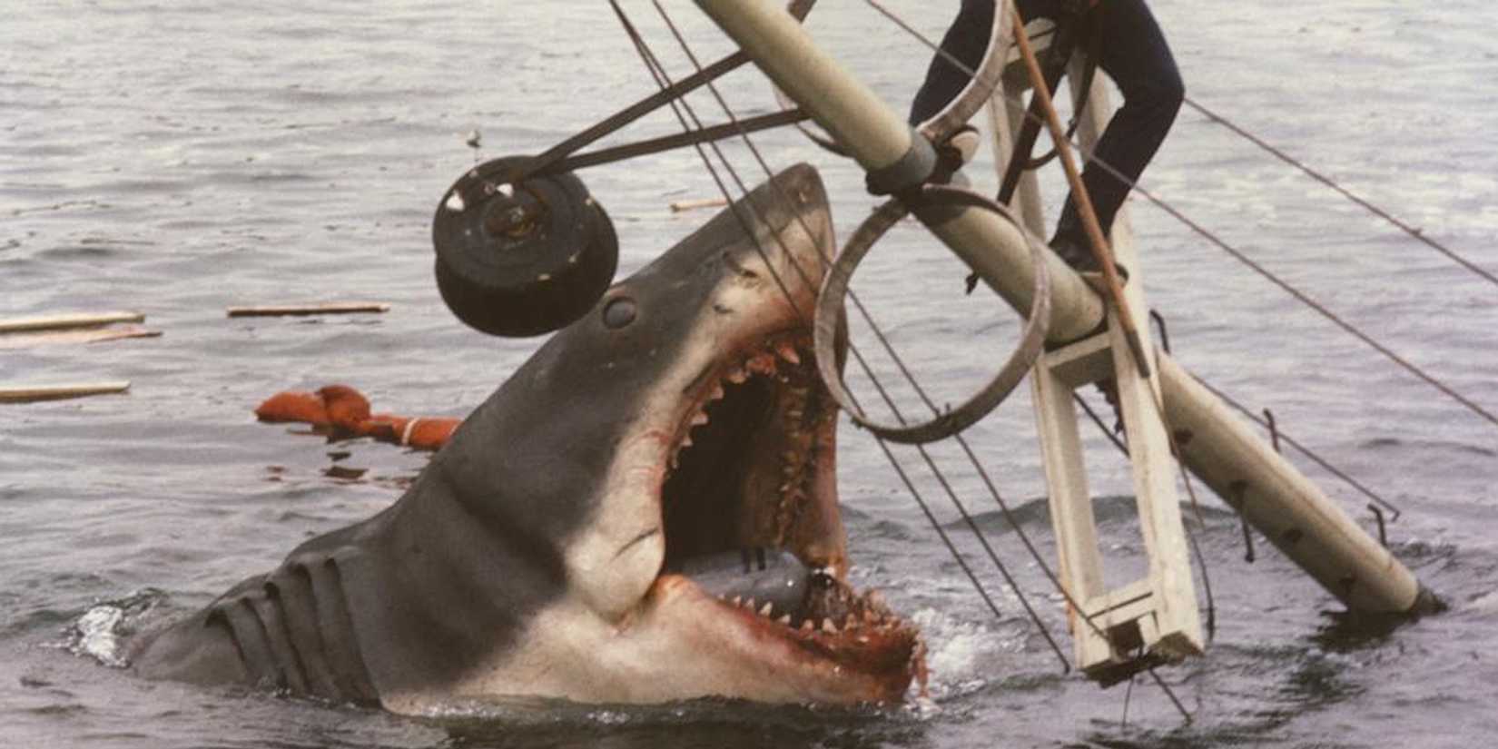 the great white shark attacking the boat in Jaws