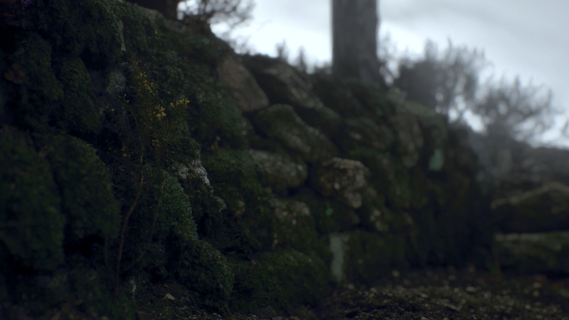 ritual tides scenery images 