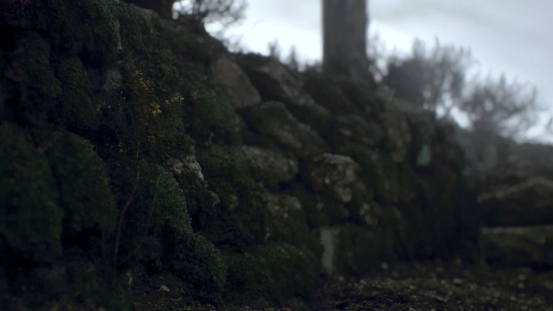 ritual tides scenery images