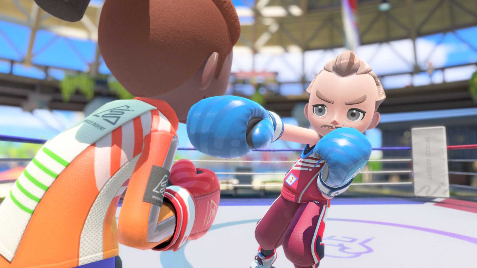 switch sports resort - boxing