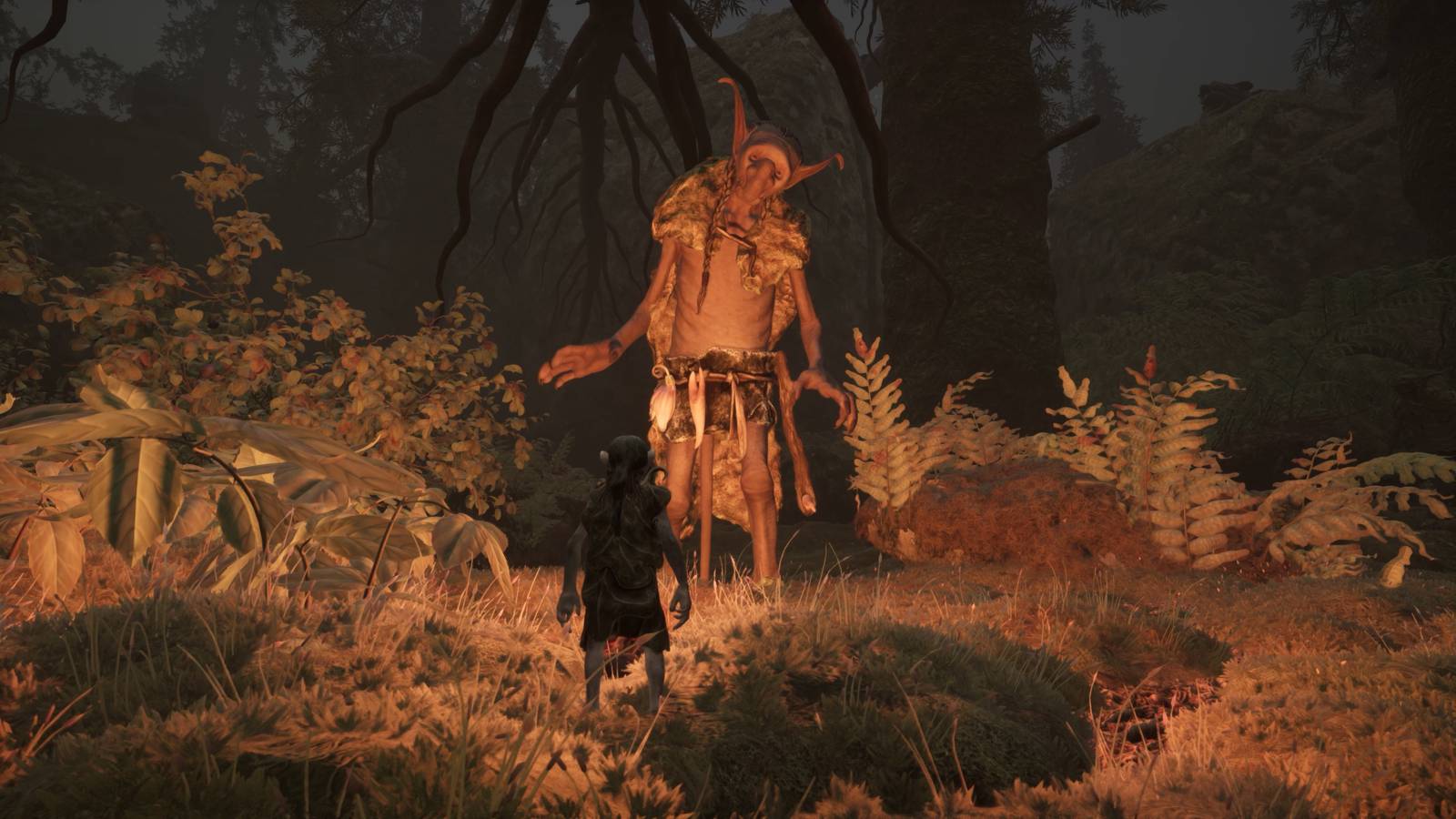 Gnomes Preview – Welcome To The Dark Forest Gnomes Preview – Welcome To The Dark Forest