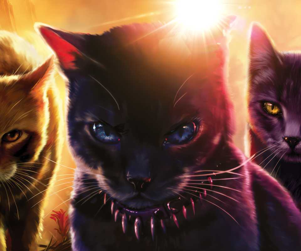 warrior cats characters