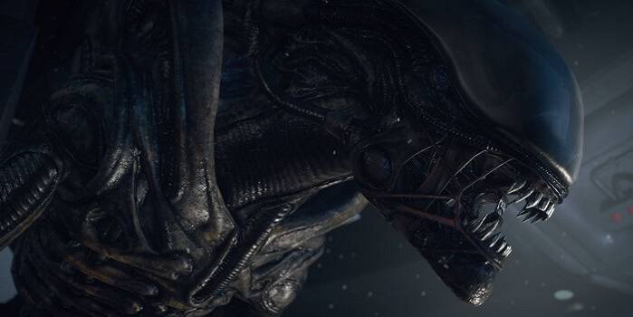 Alien Isoaltion Xenomorph Up Close