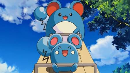 Azumarill and Marill