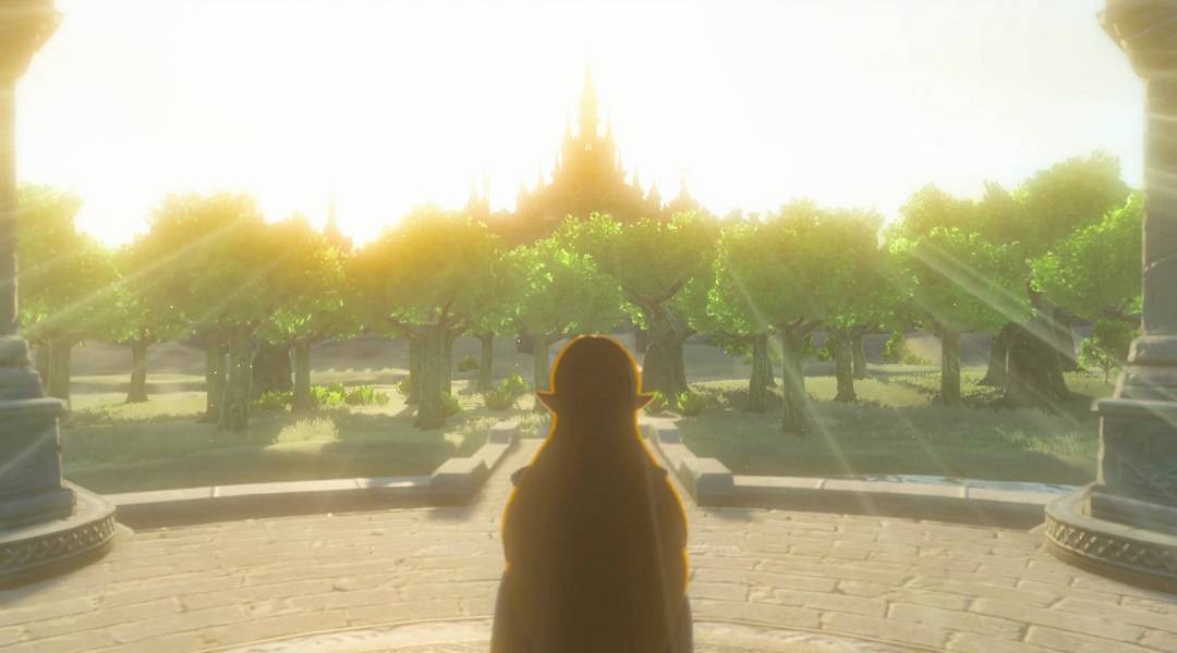 Breath of the Wild Zelda View