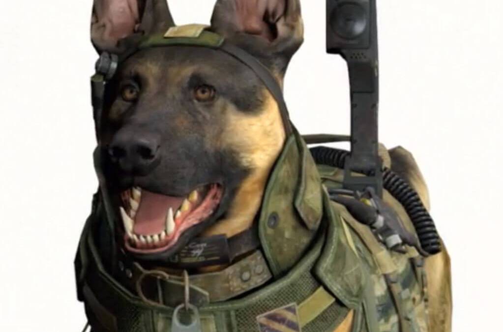 Call of Duty Ghosts Hero Dog