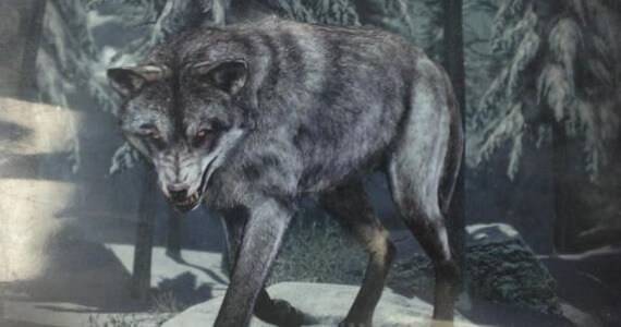 Call of Duty Ghosts Wolf Skin