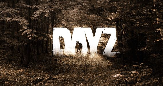 DayZ 1 Million Sales