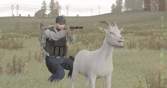 DayZ Standalone Mod Support