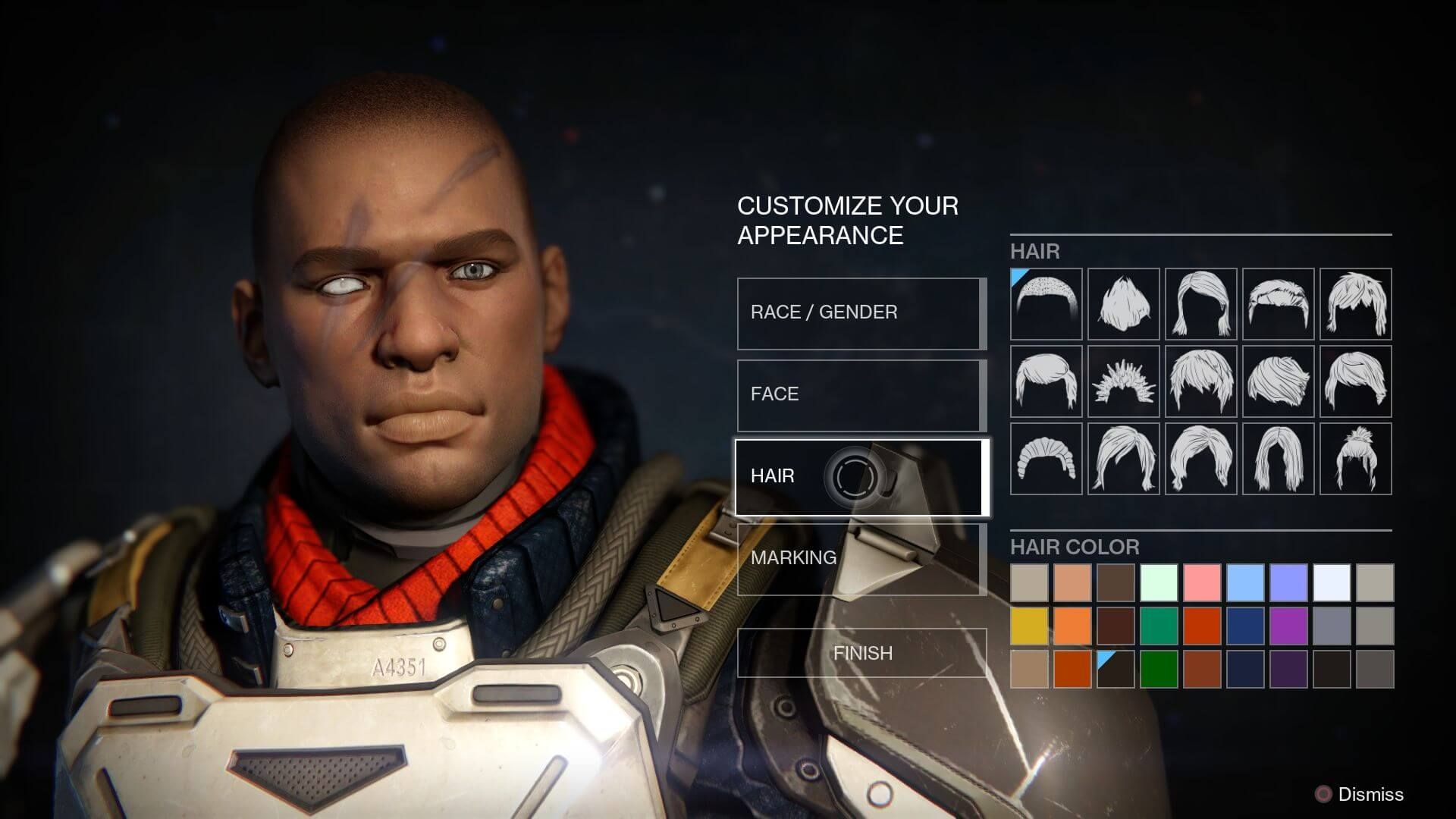 Destiny screenshot - Male character customization