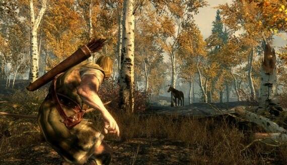 Elder Scrolls 5 Skyrim No Multiplayer