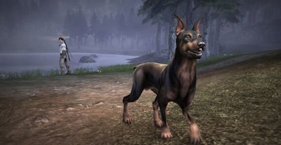 Fable 3 Dog Breed Set