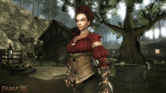 fable 3 dlc gift while co op