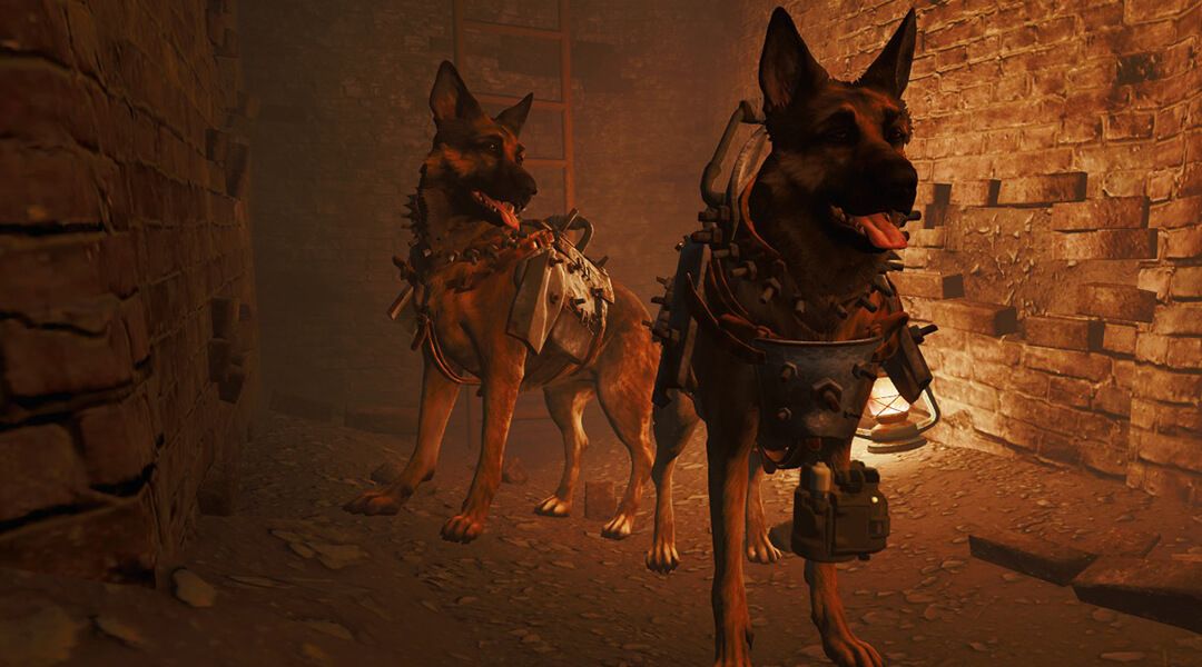 Fallout 4 Mod Lets You Play as Dogmeat