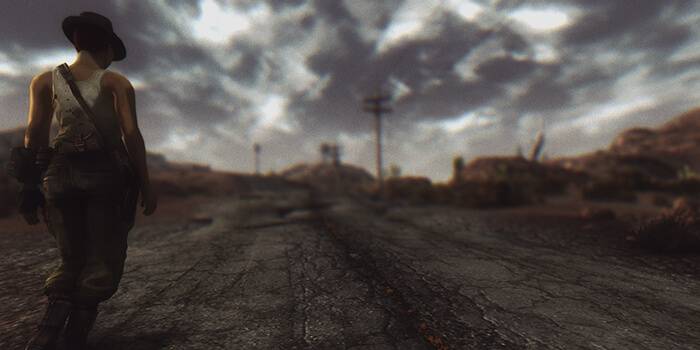 Fallout Devs Abuse Reviews