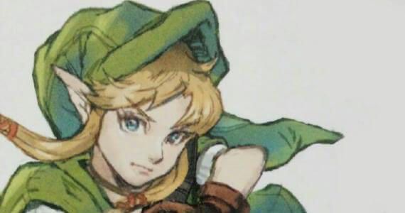 Will Hyrule Warriors Include a Female Link