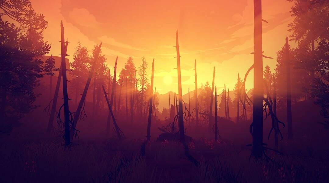 Firewatch Print Photos