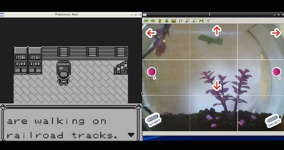 Fish Plays Pokemon Channel