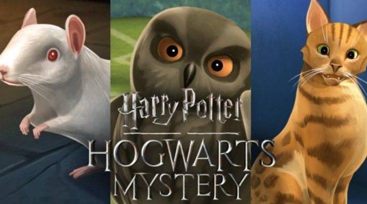 Harry Potter Hogwarts Mystery pets free energy