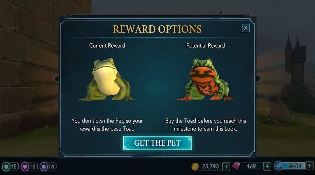 Harry Potter Hogwarts Mystery update pet skins