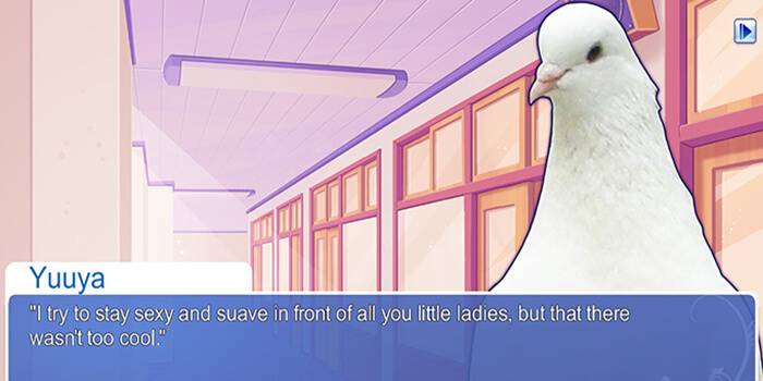 Hatoful Boyfriend Review