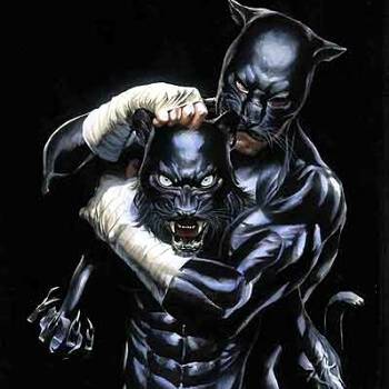 Injustice Gods Among Us Wildcat