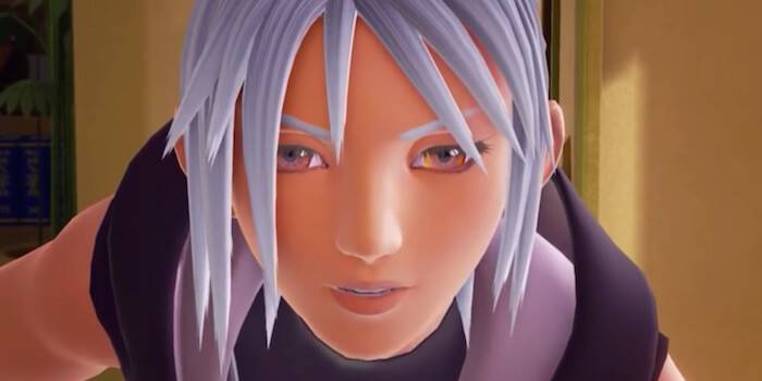 Kingdom Hearts 3 Mystery Grey Hair Boy
