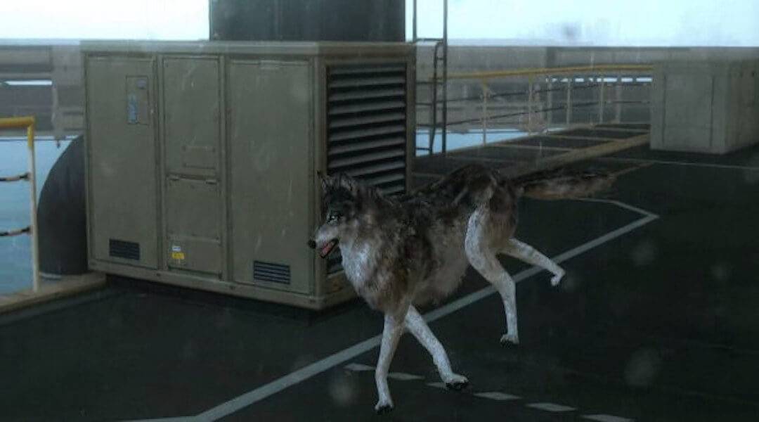 MGS5 D-Dog Quiet Swap