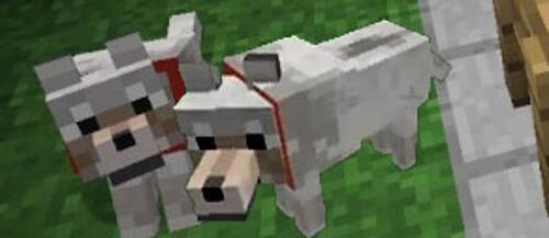 Minecraft 1.4 Update Wolf