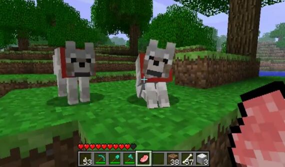 Minecraft Pet Wolf Wolves Video