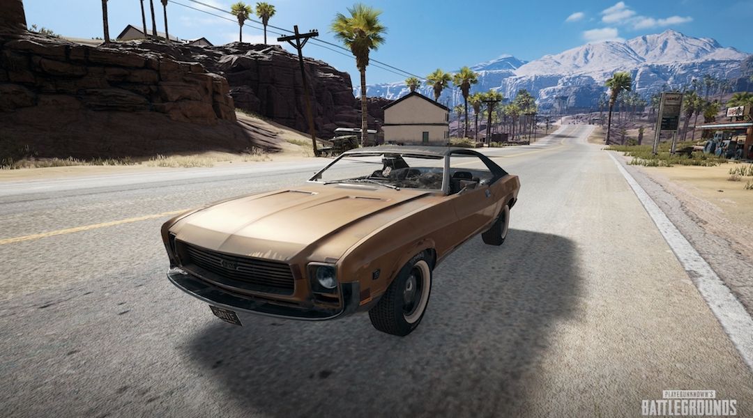 PlayerUnknown's Battlegrounds Mirado vehicle screenshot