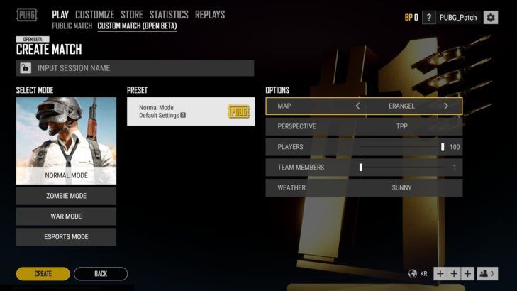 PlayerUnknown's Battlegrounds custom match screenshot