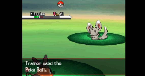 Pokemon Black and White Battle English