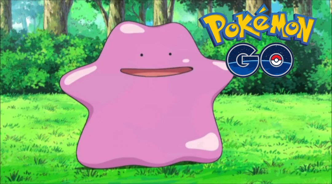 catch ditto pokemon go